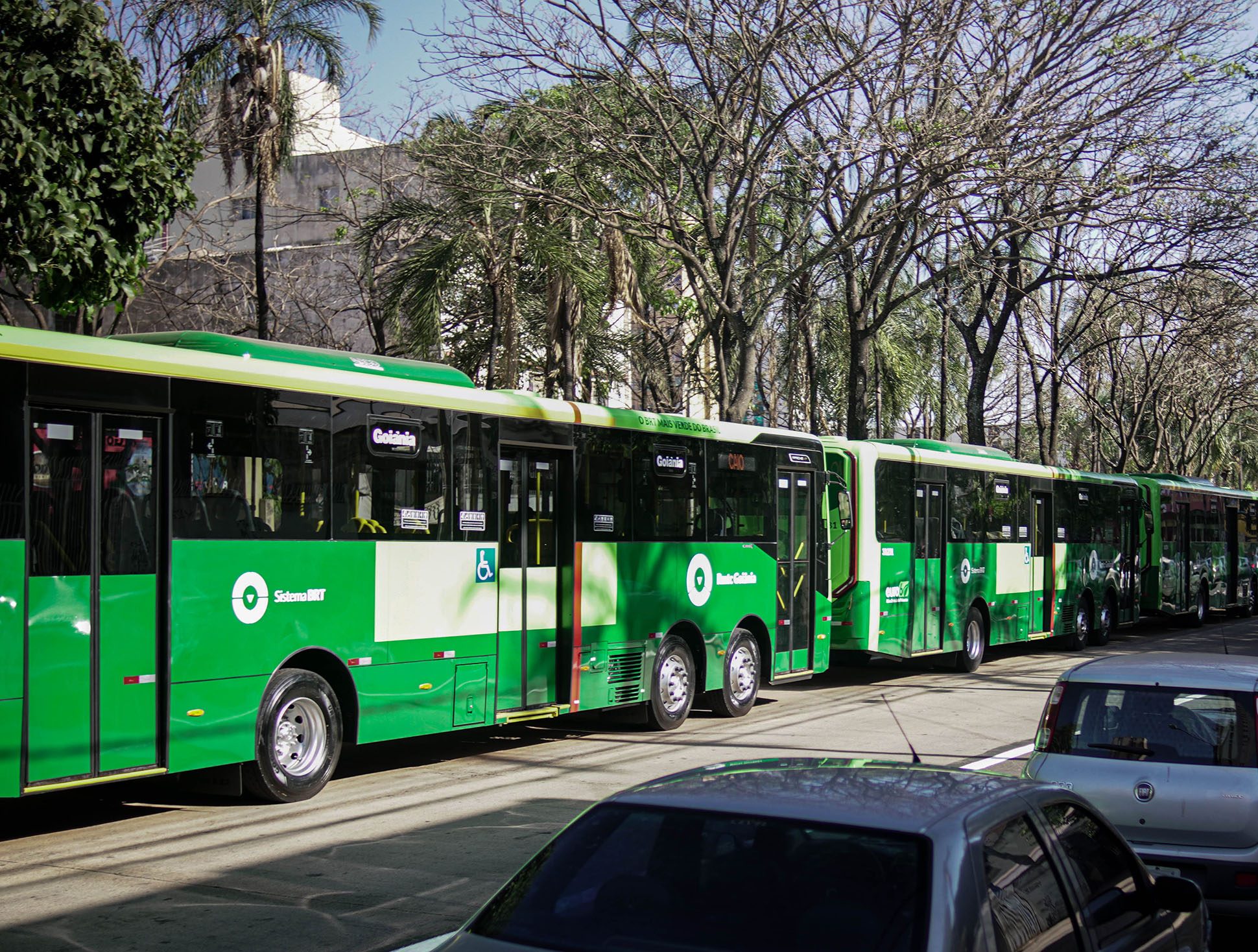 Foto de divulgação dos ônibus